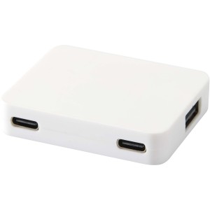 Gaia 4-port USB hub with USB-A and Type-C output and dual in