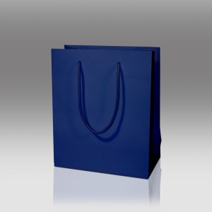 Paperbag 2024 cm, blue