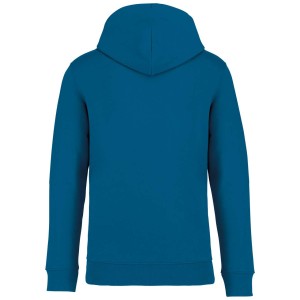 SURFER, Blue Sapphire (Pullovers)