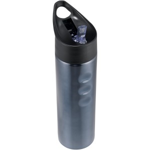 Trixie 750 ml stainless steel sport bottle, Titanium (Sport bottles)