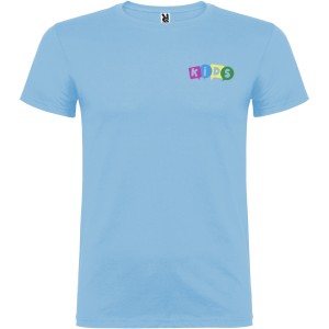 Beagle short sleeve kids t-shirt, Sky blue (T-shirt, 90-100% cotton)