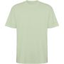 Bull short sleeve unisex oversized t-shirt, Mist Green