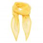 'COLOURS COLLECTION' PLAIN CHIFFON SCARF, Sunflower