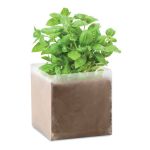 Compost with seeds "BASIL", Beige (MO9545-13)