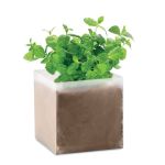 Compost with seeds "MINT", Beige (MO9546-13)