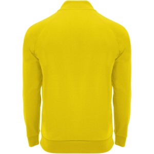 Epiro long sleeve kids quarter zip sweatshirt, Yellow (Pullovers)