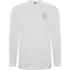 Extreme long sleeve men's t-shirt, White (Long-sleeved shirt)