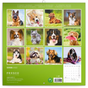 Falinaptr Dogs (Calendars)