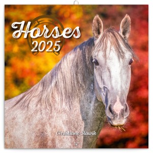 Falinaptr Horses (Calendars)