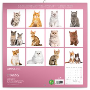 Falinaptr Kittens (Calendars)