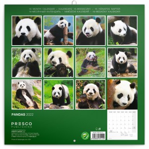 Pandas lemeznaptr (Calendars)