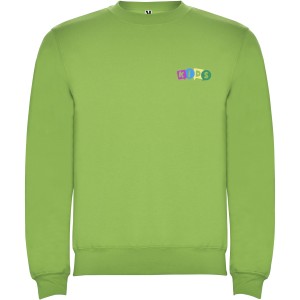 Clasica kids crewneck sweater, Oasis Green (Pullovers)
