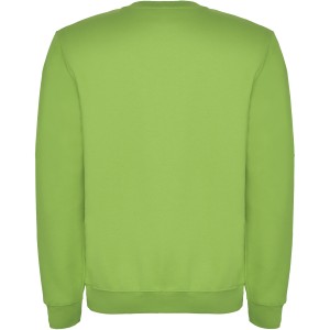 Clasica kids crewneck sweater, Oasis Green (Pullovers)
