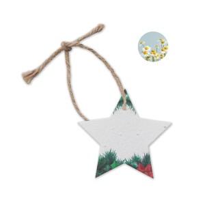 Seed paper Xmas ornament, White (Decorations)