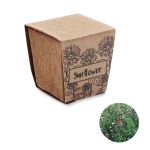 Sunflower growing kit, Beige (MO2411-13)