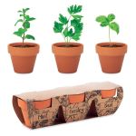 Terracotta 3 herb pot set, Wood (MO6145-40)