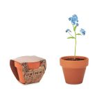 Terracotta pot 'forget me not', Wood (MO6146-40)