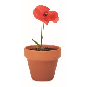 Terracotta pot 'poppy' (Gardening)